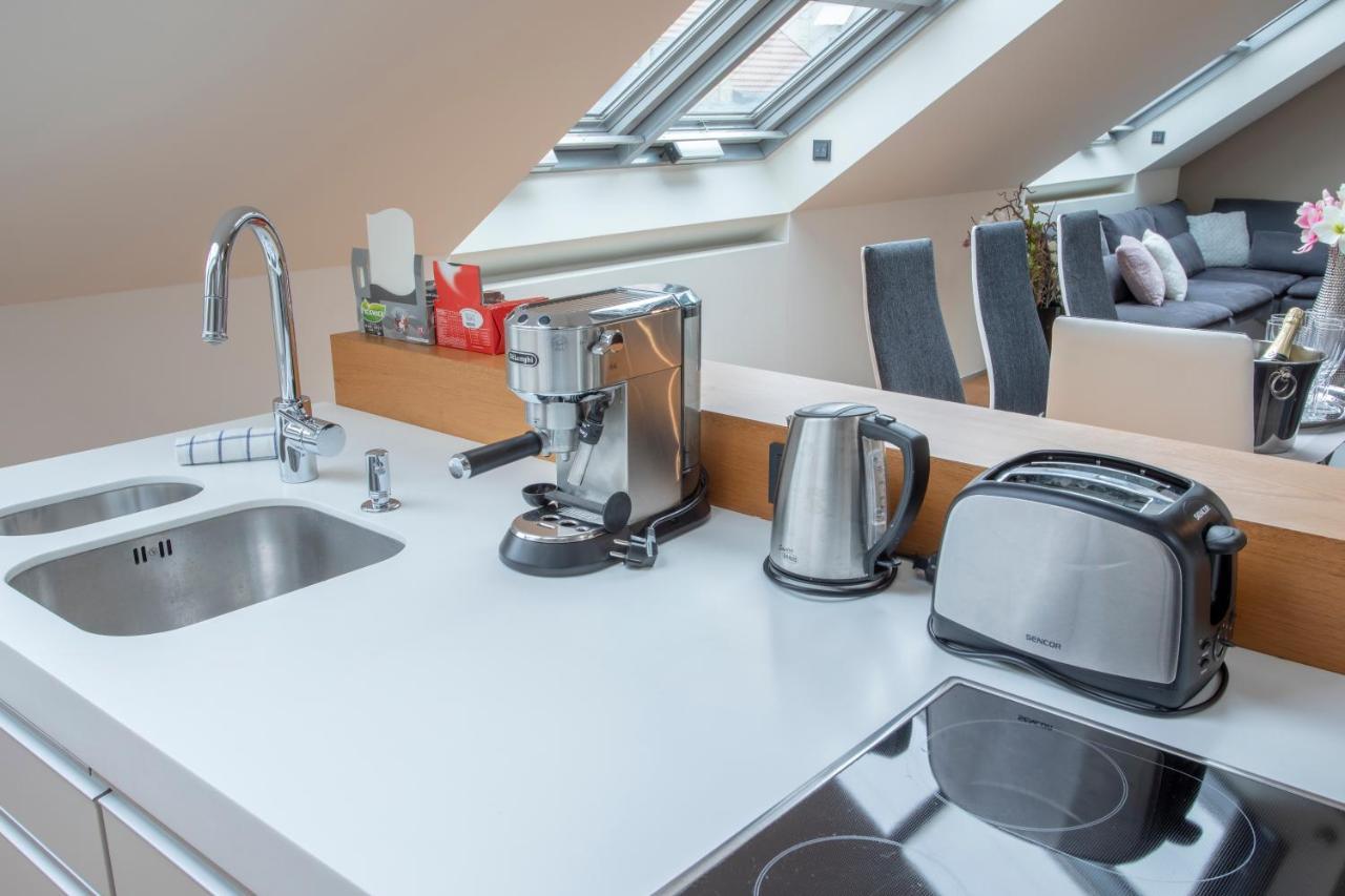 Luxury Duplex With Terrace Appartement Prague